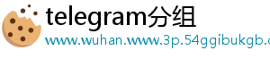 telegram分组	